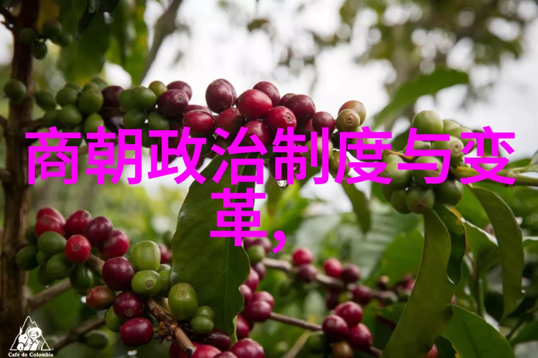 明朝十六帝一览表聊聊那些年明朝的皇帝们怎么个走法