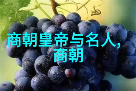 中国历史24朝代顺序口诀记忆历代王朝的便捷方法