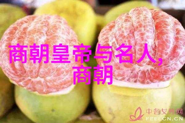 天子脚下的小丑和大戏演员 明朝皇帝身边最隐秘的情仇与命运交错之谜
