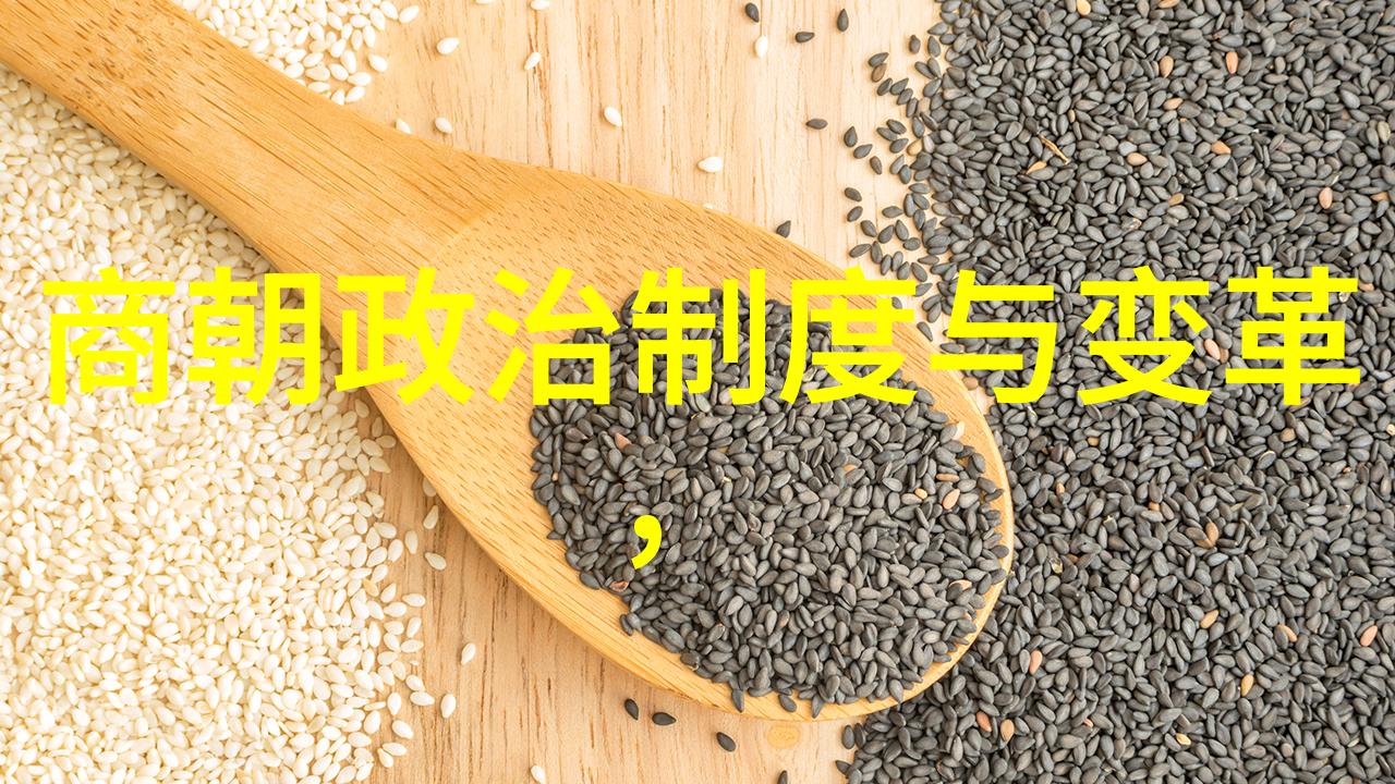 明朝开国之祖朱元璋的统治与成就