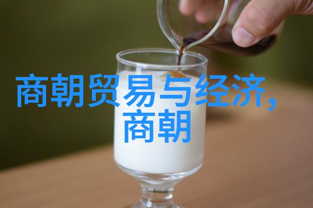 宋代史料我亲眼见证的那段繁华时光