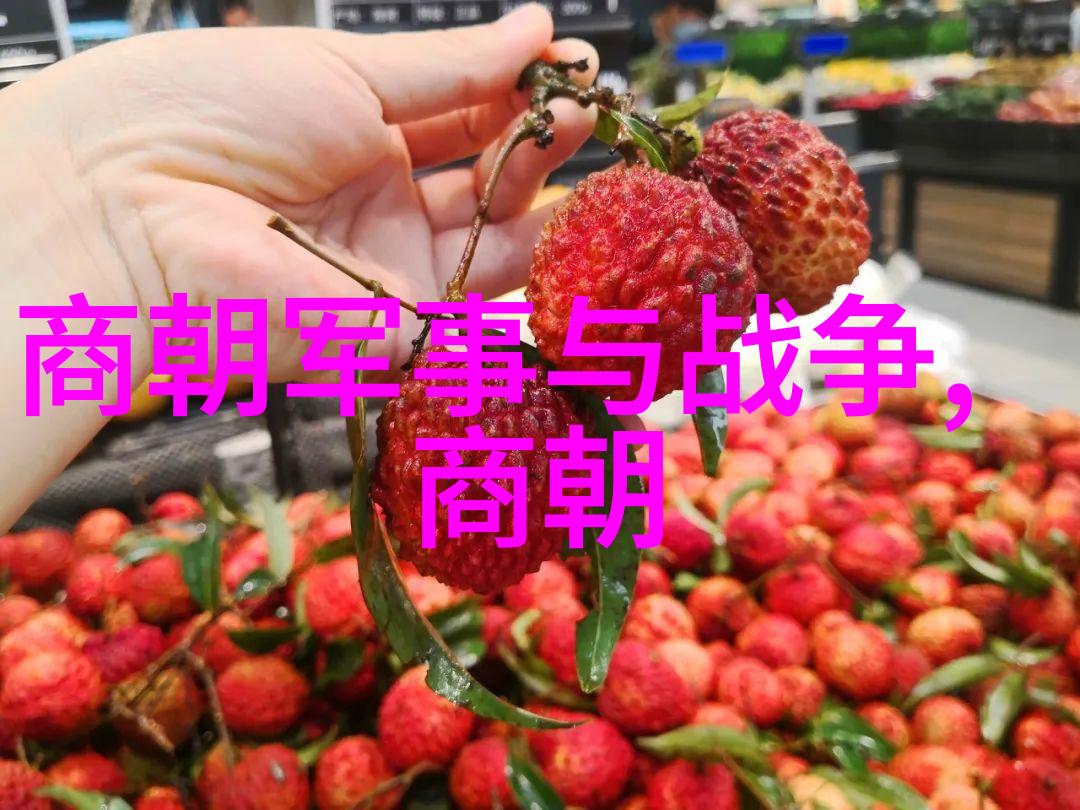 点亮屏幕展开千年故事线
