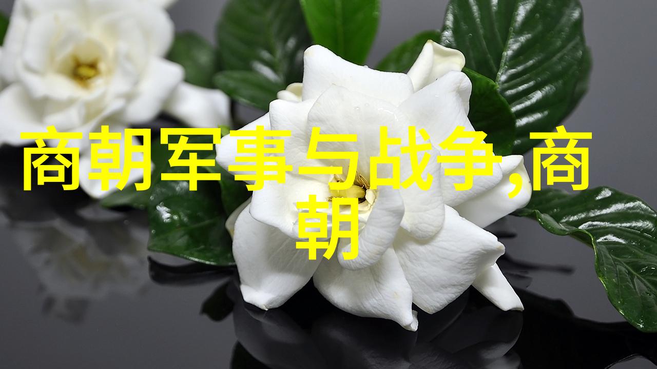 皇家禁忌与民间传说明朝怪事中的道德观念探讨