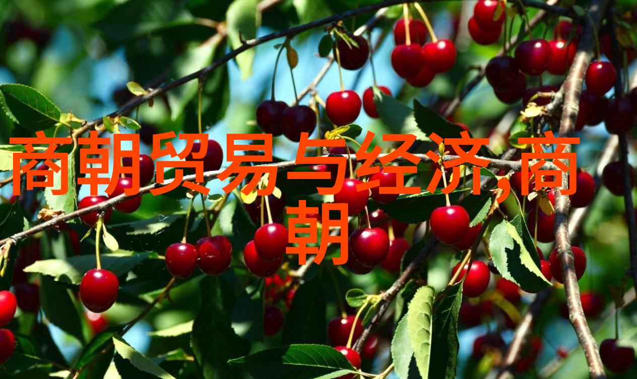 隋文帝杨坚崛起的关键因素是什么