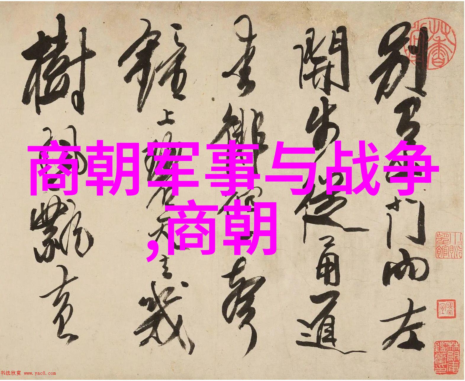 深入分析比孝庄这一独特称号及其文化背景