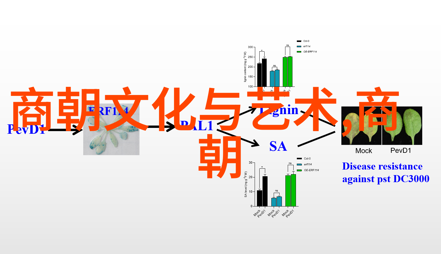 明朝名人一览表他们的故事又是怎样的