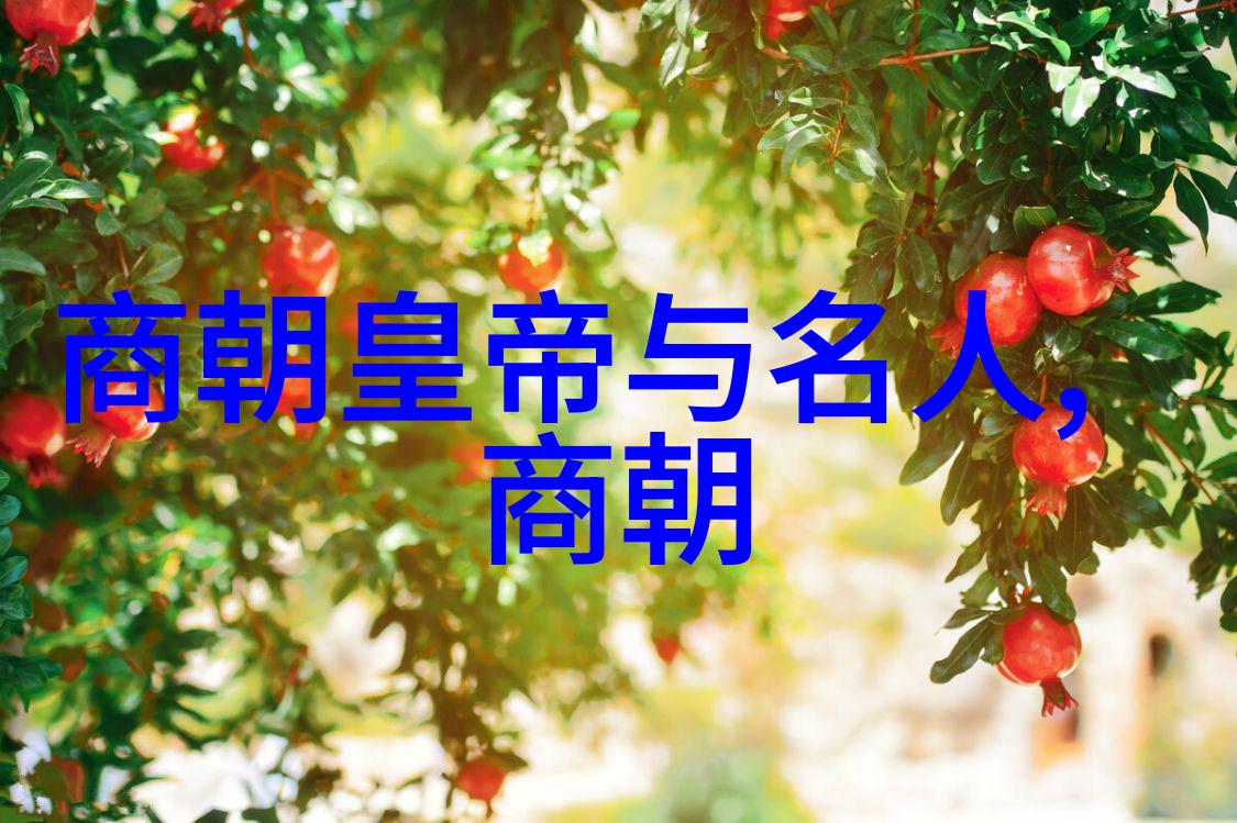 元朝对外扩张的军事策略和成就是什么