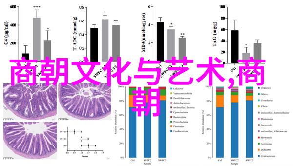 京剧人物总数解析探索马派老生穆雨的数据世界