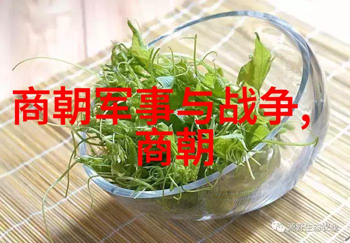 明朝末年权力斗争中的悲剧张太后之死与朱祁镇的决断