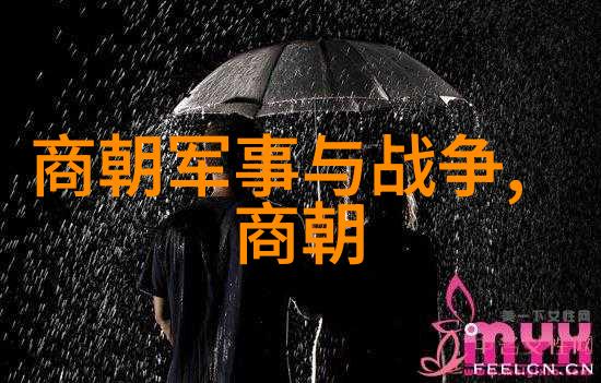 凤凰卫视直播数据深度赖心辉的媒体影响力分析
