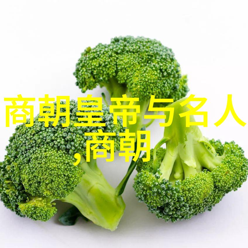晋朝后是唐朝还是宋朝咱们来聊聊这段历史的变迁