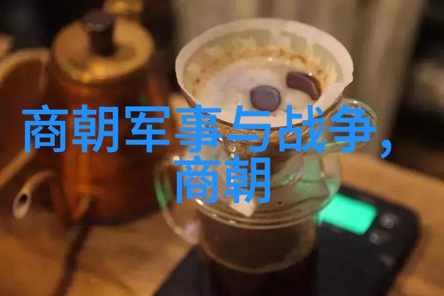 历史的裂痕梦碎紫禁城