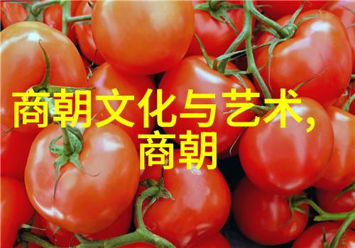 经济结构演变南宋重商轻农政策与北宋农业发展之争论