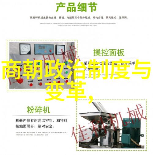 明朝历史的诡异篇章阴谋与奇迹交织的盛世