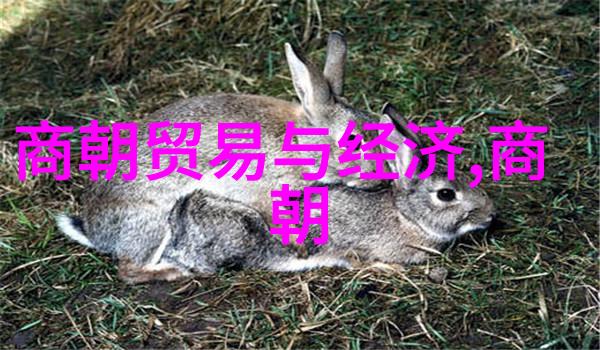 明代官员的一生一世卖身作婢到底意味着什么