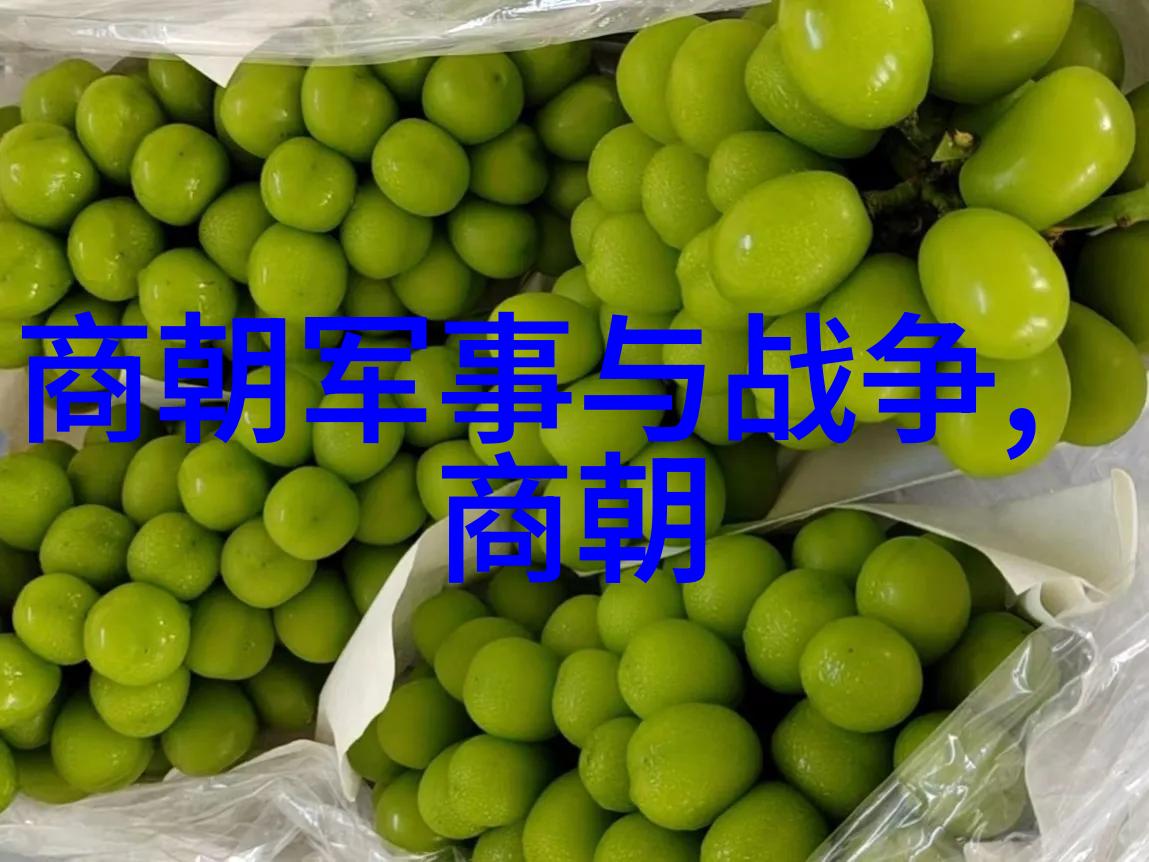 黄梅戏艺术节第六届盛会文化绚烂如织家春秋共舞真正的主角