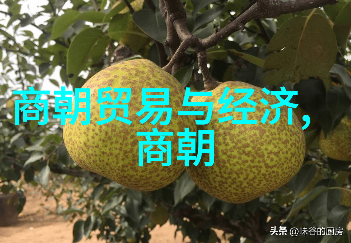乾隆与雍正权力的阴影中谁更耀眼