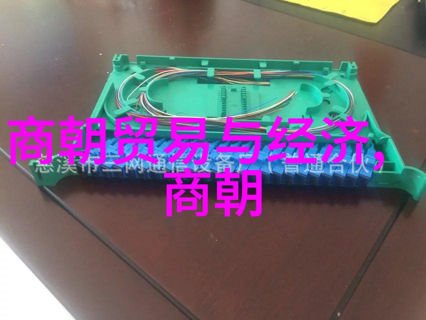 宋朝时期的邻国与贸易网络探索金辽西夏等国家的交往