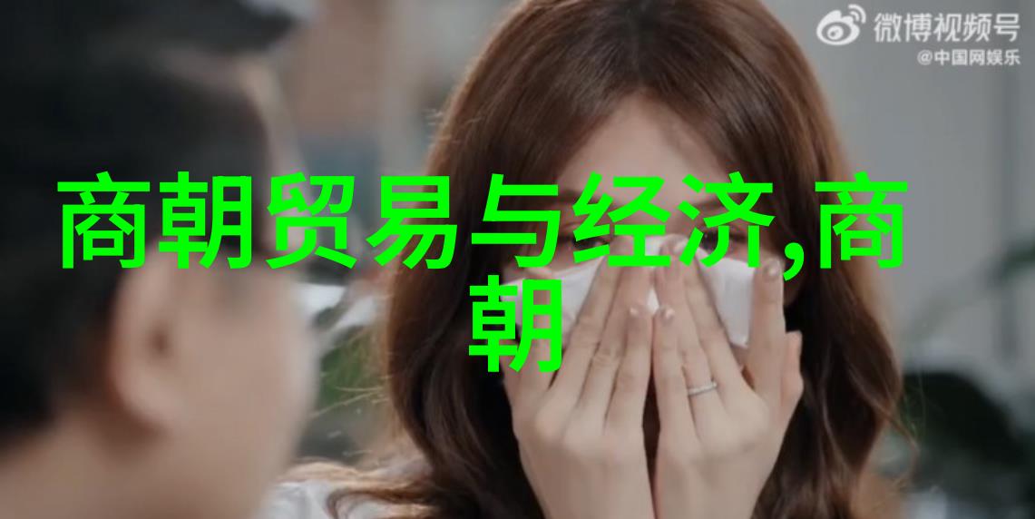 君主们的舞台不同朝代下的皇权运作方式