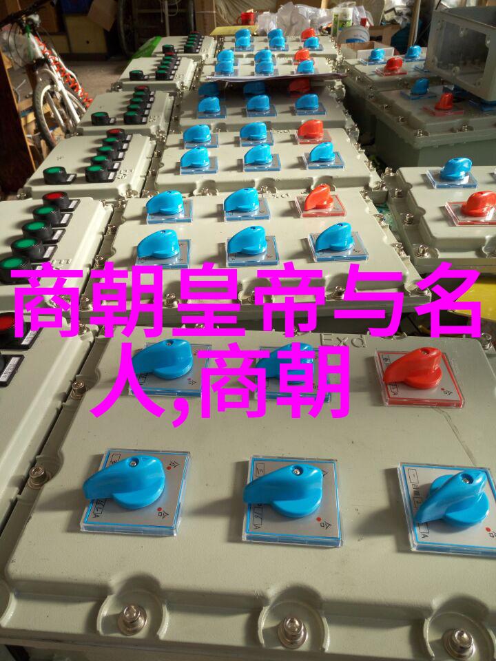 明朝历史叙述全集探究奇书网中的历史奇观