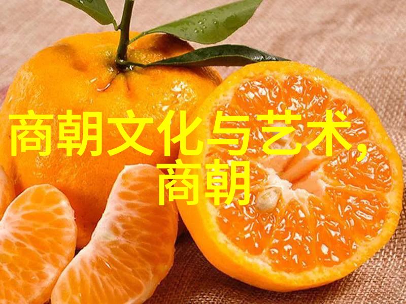 元朝风华探秘古代帝王与民间传说
