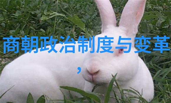 辉煌的盛世探索元朝的历史奥秘