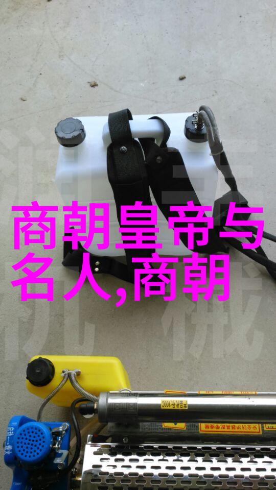 清宫秘闻录明朝历史的奇谜与幻影
