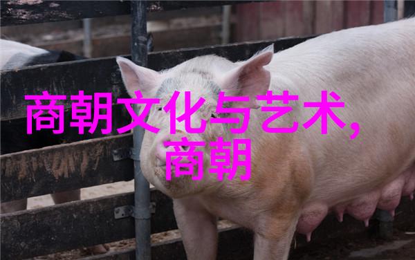 明朝盛世帝王们的排名