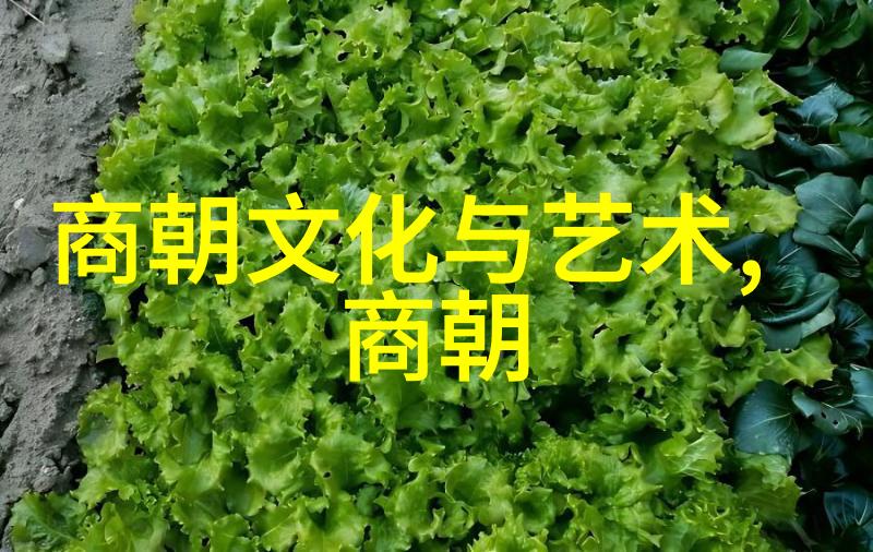 历史明朝的覆灭1644年清军入关之战的终结