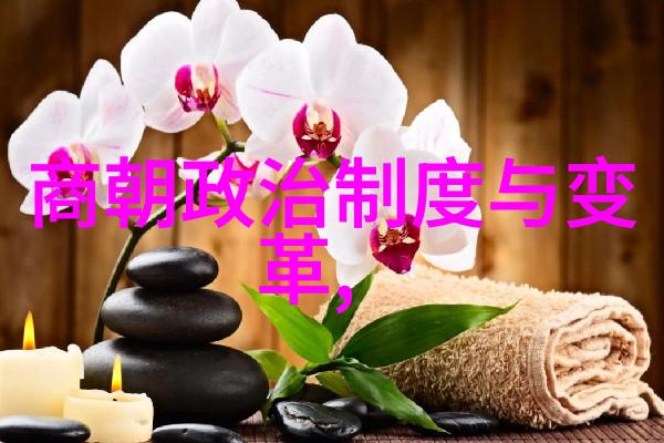 康熙被雍正毒死一场震惊皇宫的悲剧