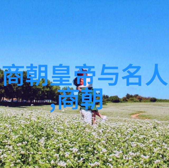 李抱一刚刚收到中国宣布的重大消息心情激动不已