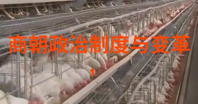 中国历史王朝绘卷穿越时空的文化回响
