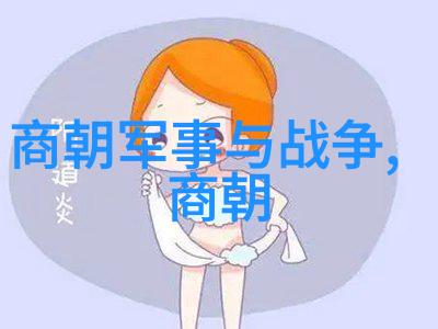 明朝-顺序及简介 辉煌与衰落明朝王朝的兴衰历程