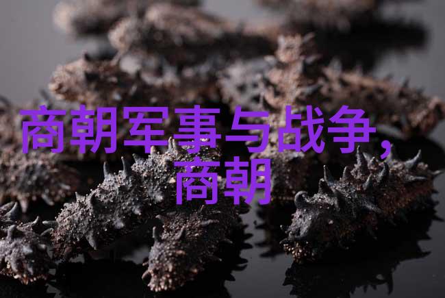 皇权与女性力量明朝太后的角色如何塑造了国家命运