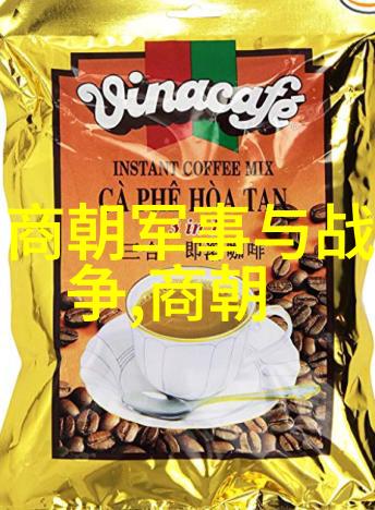 元朝对老百姓好吗-铁血之下元朝的民生政策与老百姓的生活