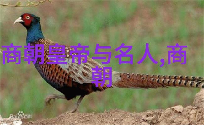 明代文化艺术产生了哪些杰出的代表作家画家和科学家呢