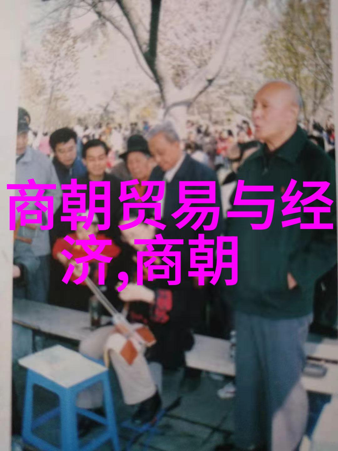 康熙被雍正毒死考察历史证据与宫廷权力斗争的深度解析