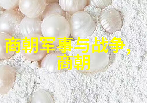 辽国风云燕云之下草原的烽火