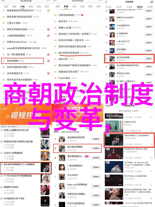 靖康屈辱史刘亦菲如何表达其内心世界