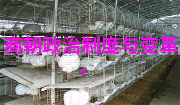 探究明朝那些事儿的史实与虚构之间的差距及其对社会文化影响