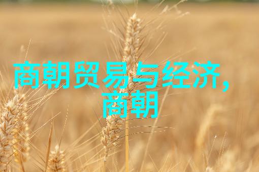 杨智积的秘密