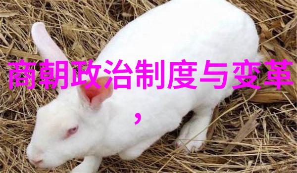 明代名将英杰录守卫国土的英雄们