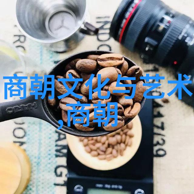 明代历代族谱中国古代家族血统的记录与传承