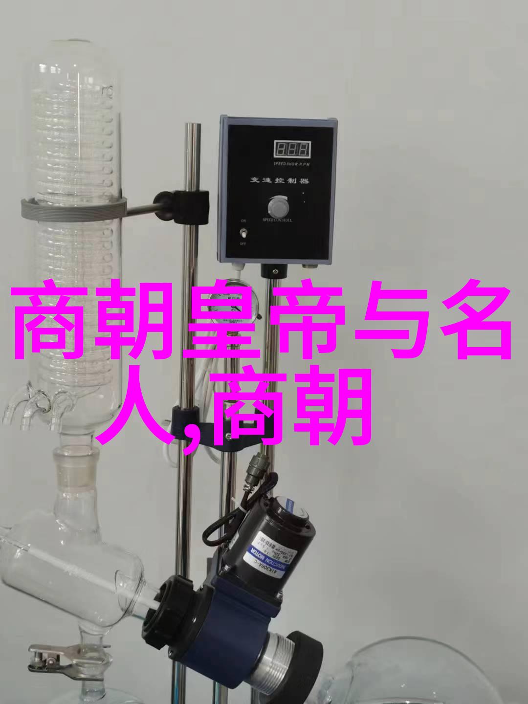 东晋奇才辈出姚天福的故事与其他著名人物相遇