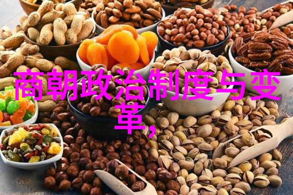历史上最不该灭亡的朝代逆袭与遗憾