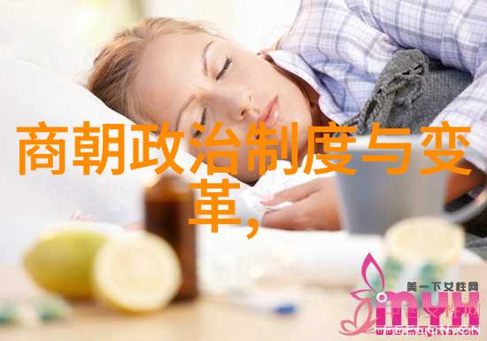 宋朝简介及历史概述 - 南渡北进的辉煌篇章