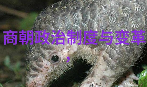 探索元朝辽阔疆域从蒙古帝国到大元王朝的版图