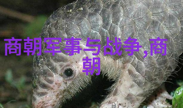 重塑帝国宋代对传统政治制度的改革探索