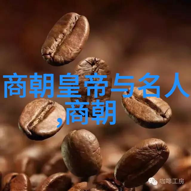 明朝辉煌与衰落一个无昏君的悲剧