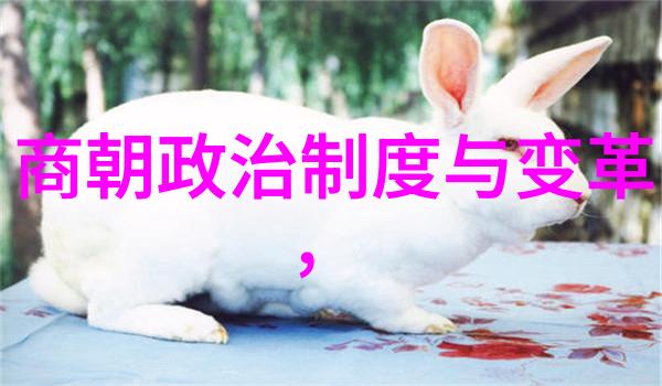 中华古韵探秘历经千年的帝王荣耀